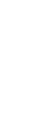 炙りサーモンと赤タマネギ